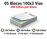 BLOCOS, COMANDAS, RECEITUÁRIOS E TALÕES BLOCOS E TALÕES 100 FOLHAS AUTOCOPIATIVO 56G 100X3 150X210MM