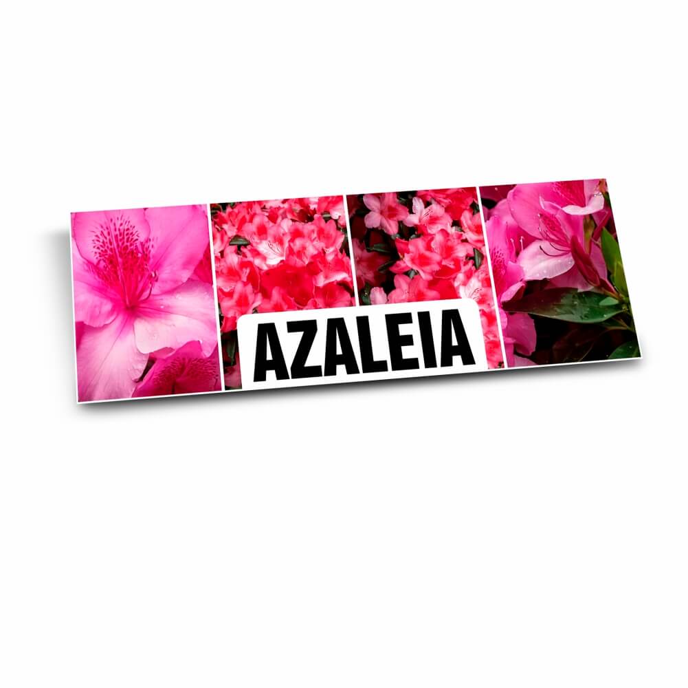 PLACA DE PS PSAI 1MM 300X120MM
