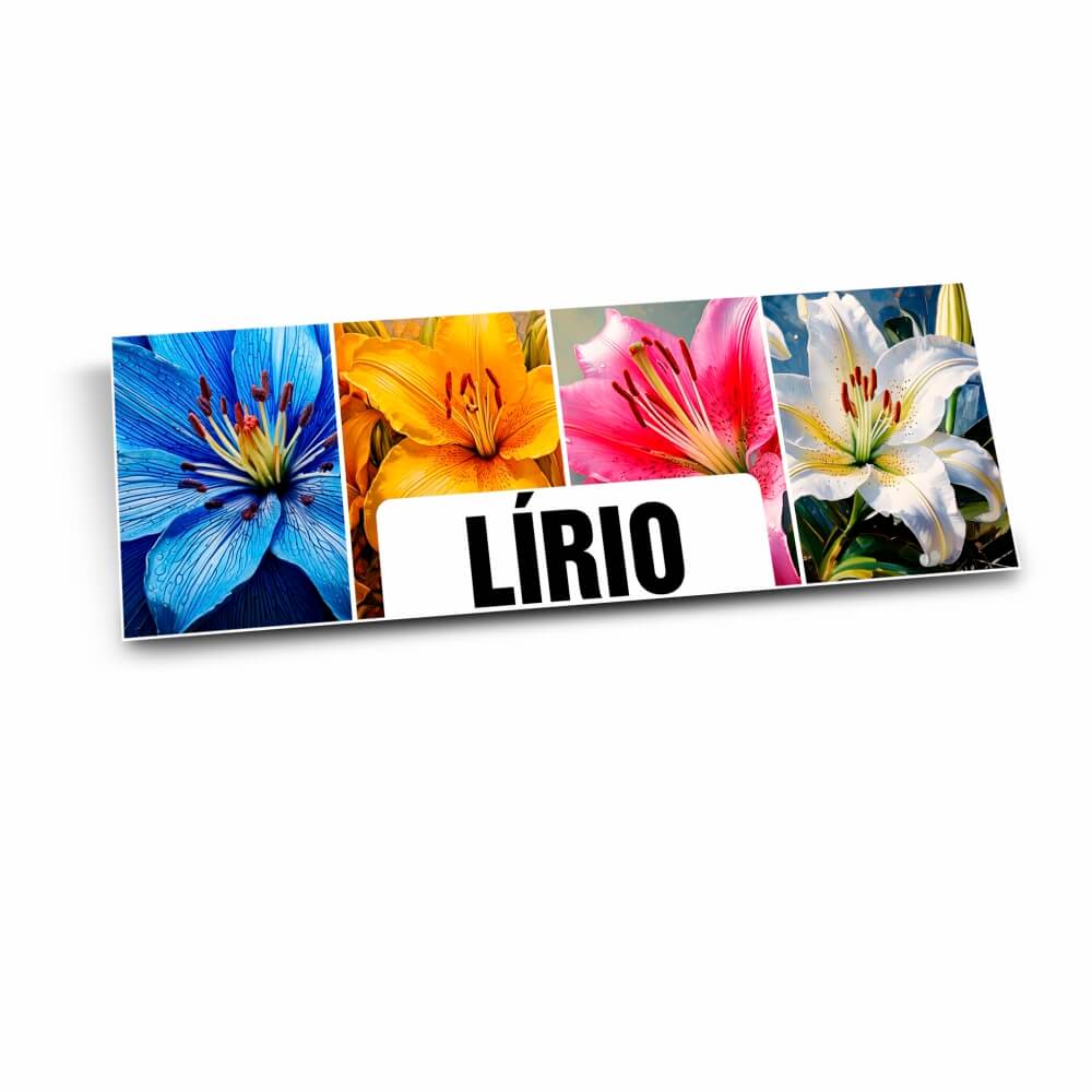 PLACA DE PS PSAI 1MM 300X120MM