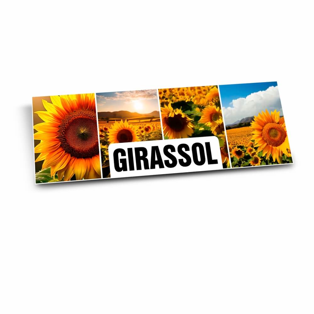 PLACA DE PS PSAI 1MM 300X120MM