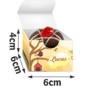 PRODUTOS PARA FESTA CAIXA SURPRESINHA COUCHÊ 300G SEM LAMINAÇÃO E SEM VERNIZ - 4X0 - 25unid - CXS01C