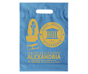 SACOLAS E SACOS SACOLAS PERSONALIZADAS PLÁSTICAS BOCA VAZADA 400X500MM AZUL