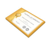 CERTIFICADOS 300X210MM COUCHÊ 250G SEM VERNIZ