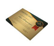 CERTIFICADOS 300X210MM GOLD MASTER 300G SEM VERNIZ