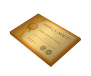CERTIFICADOS 300X210MM GOLD MASTER 300G SEM VERNIZ