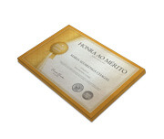 CERTIFICADOS 300X210MM PERO PLUS 300G SEM VERNIZ