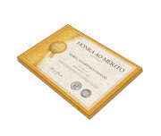 CERTIFICADOS 300X210MM RECICLATO 240G SEM VERNIZ