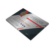 CERTIFICADOS 300X210MM SILVER LUX 300G SEM VERNIZ