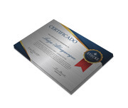 CERTIFICADOS 300X210MM SILVER LUX 300G SEM VERNIZ