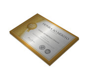 CERTIFICADOS 300X210MM SILVER LUX 300G SEM VERNIZ
