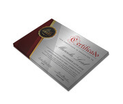 CERTIFICADOS 300X210MM SILVER LUX 300G SEM VERNIZ