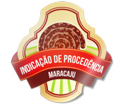 ADESIVOS RÓTULOS FOLHA VINIL METALIZADO 135X135MM