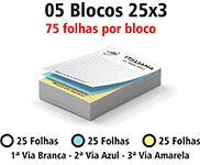BLOCOS, COMANDAS, RECEITUÁRIOS E TALÕES BLOCOS E TALÕES 25 FOLHAS AUTOCOPIATIVO 56G 25X3 75X105MM