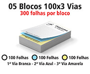 BLOCOS, COMANDAS, RECEITUÁRIOS E TALÕES BLOCOS E TALÕES 100 FOLHAS AP 75G 100X3 210X300MM